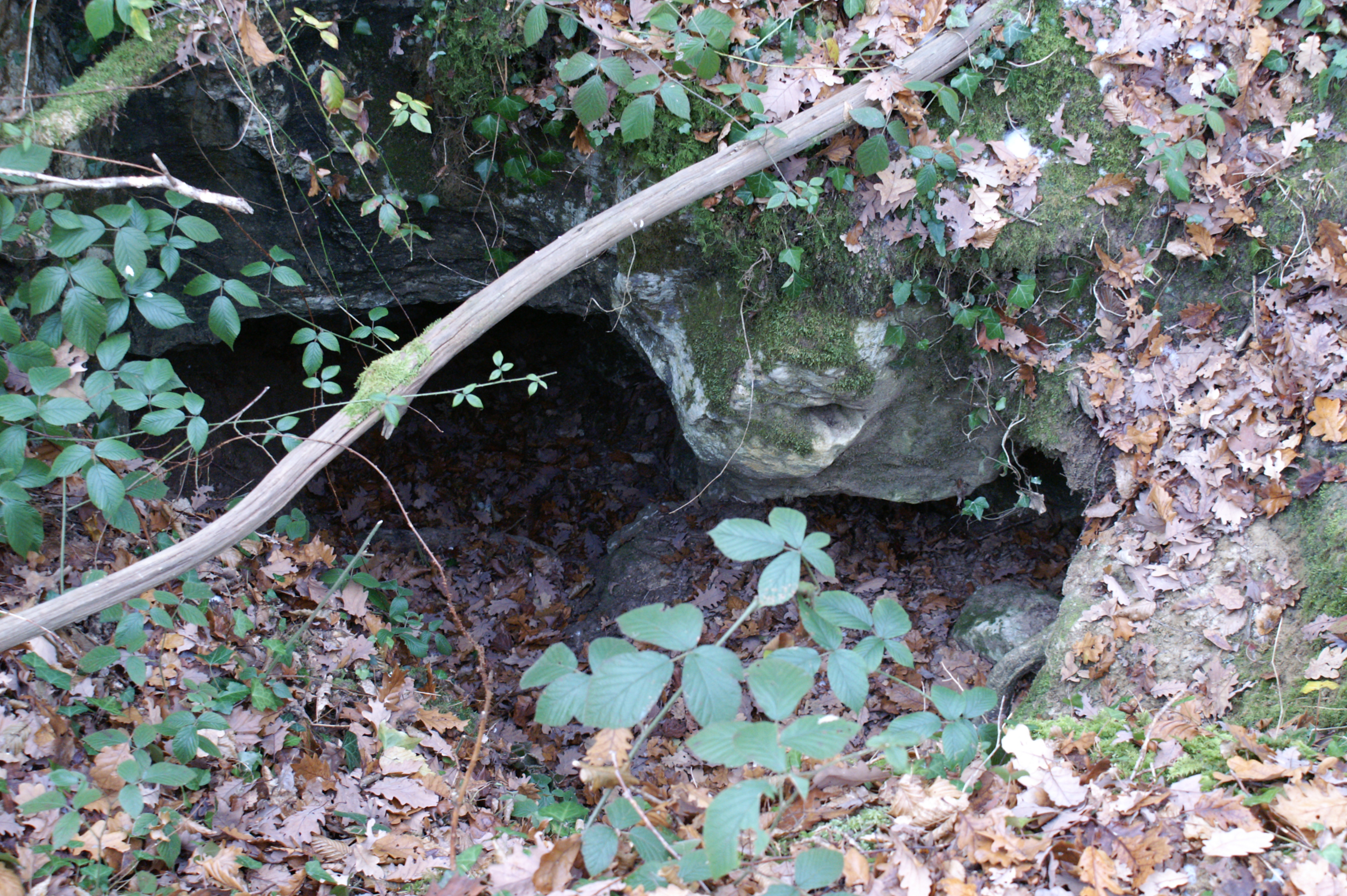 Grotte de Broustès